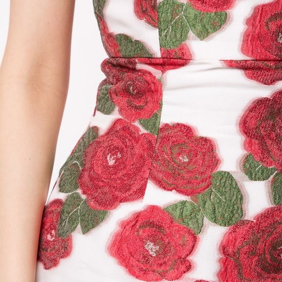 Bambah Roses Ruffle Dress - Picture 6 of 6